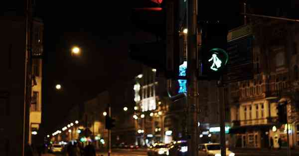 网红机器人智能