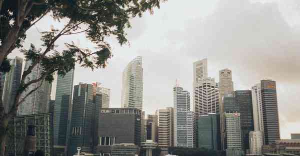 大数据排名高校