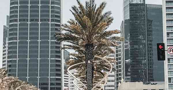 人工智能数据科学机器学习