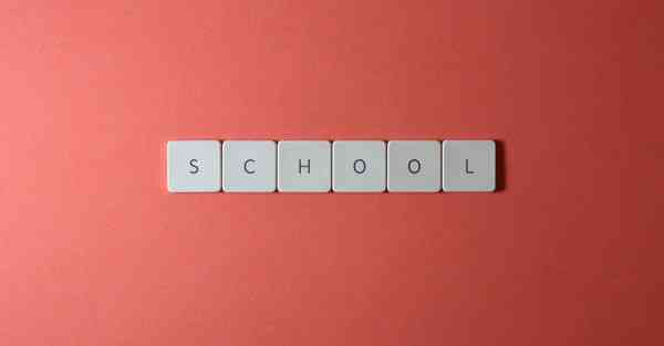 大数据虚开破案