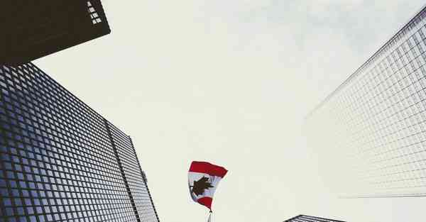 叉车远程大数据