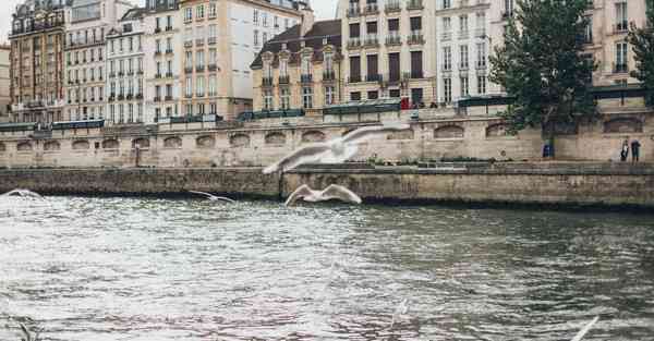大数据虚开破案