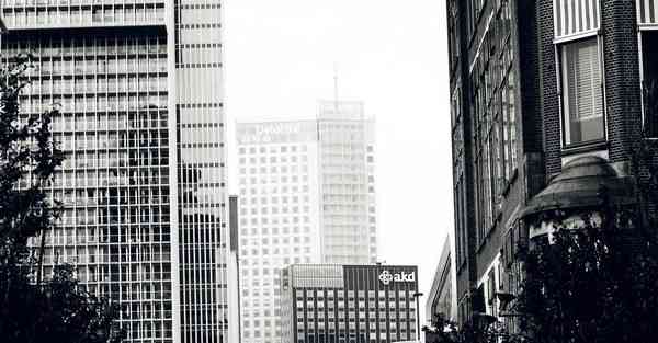 门店13大数据洞察分析