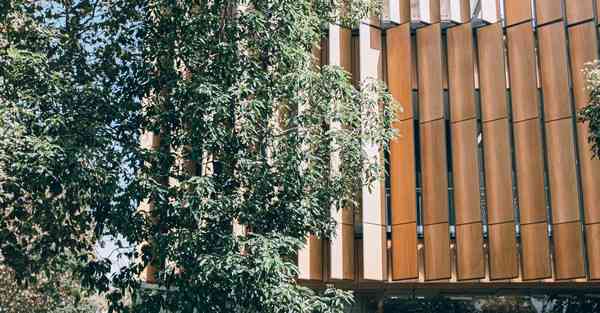 大数据热门组件