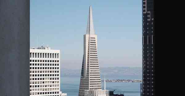 位列第一位的智能机器人