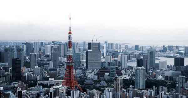 叉车远程大数据