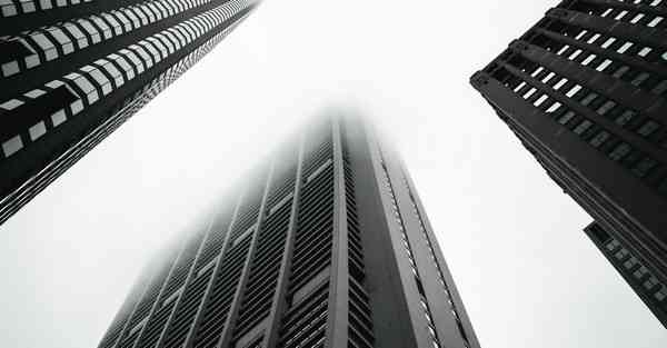 AI的技术产品和应用