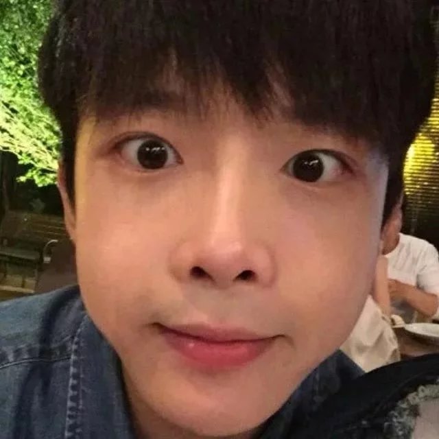 邰枝叶壮
