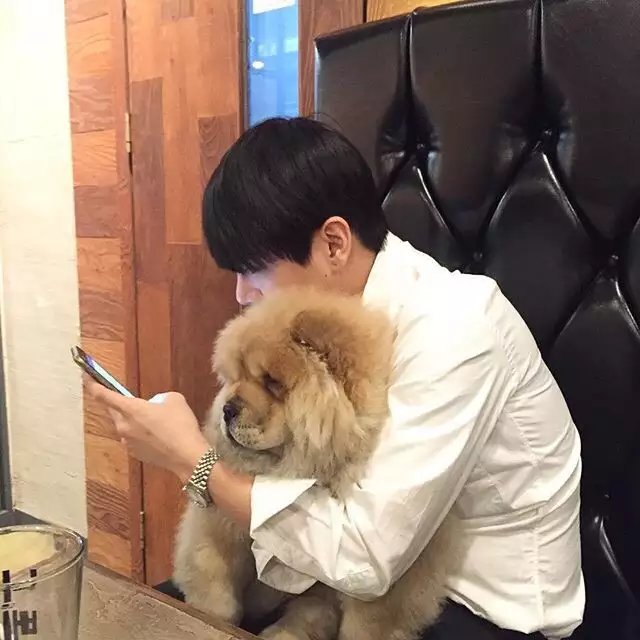 萧雅韦荣
