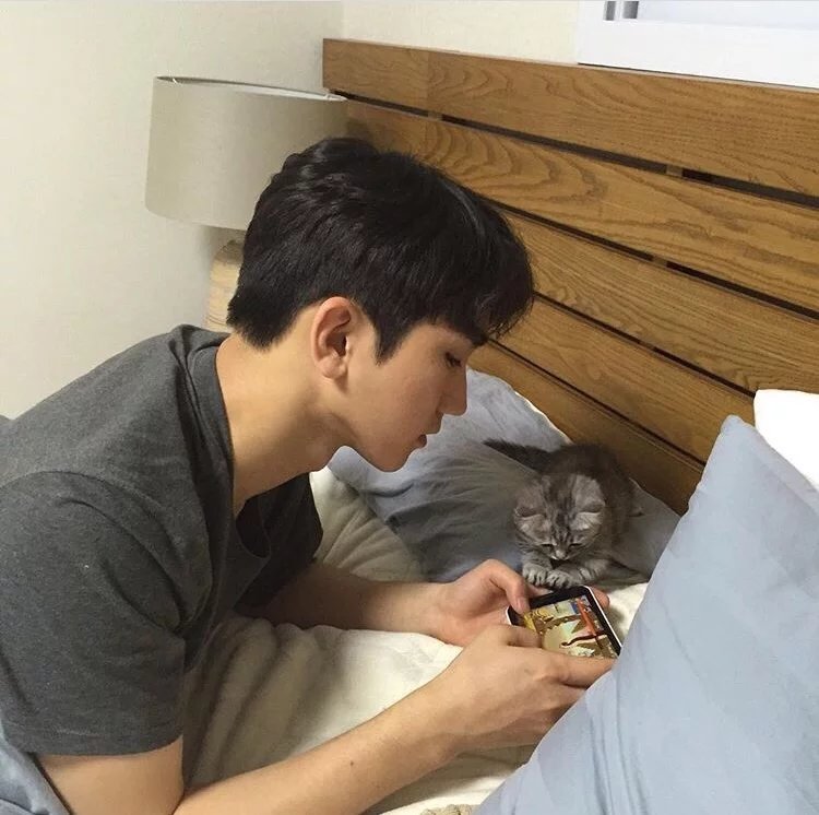 娄军翰瑗
