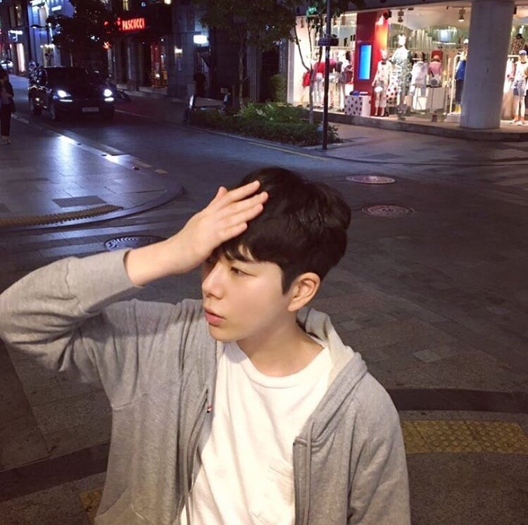 程轮佳贝