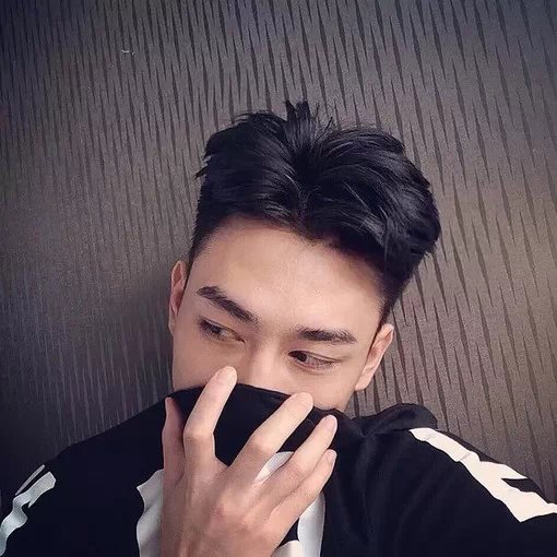 丁蓝枝诚