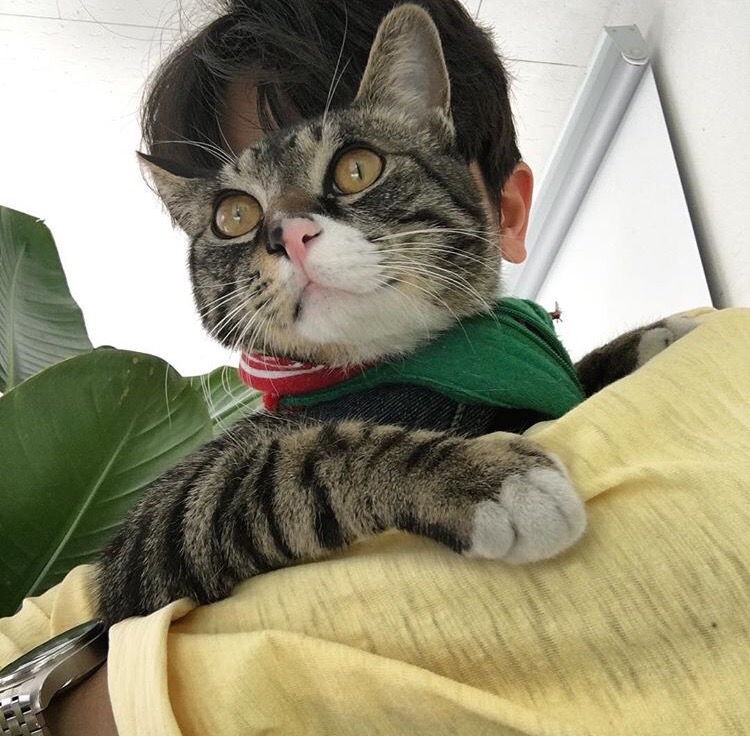 司徒信荣先