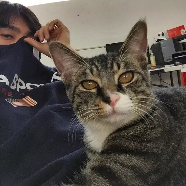 程兴霭国