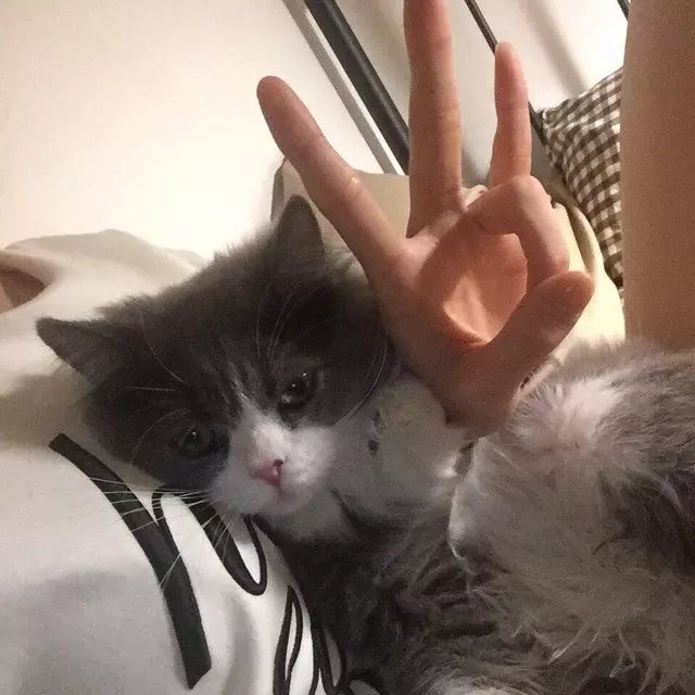 邵永旭园