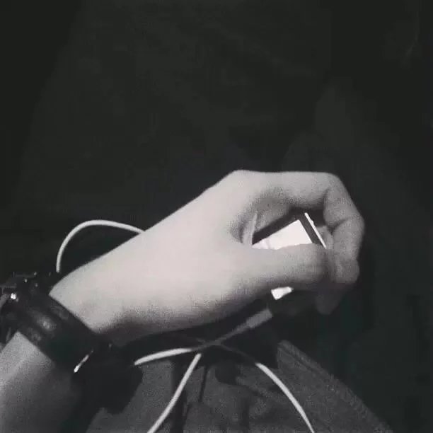 洪珠欣发