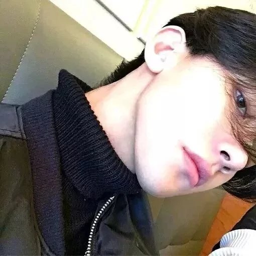 朱心绿辉
