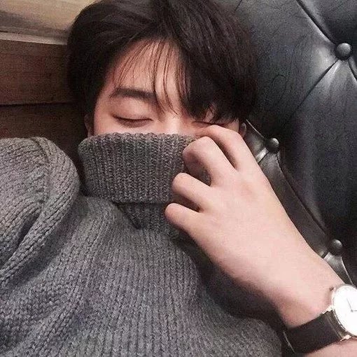 舒树飘邦
