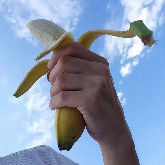 王蝶忠真