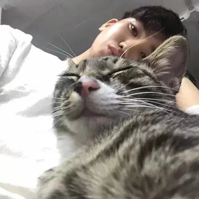 堵永广芝