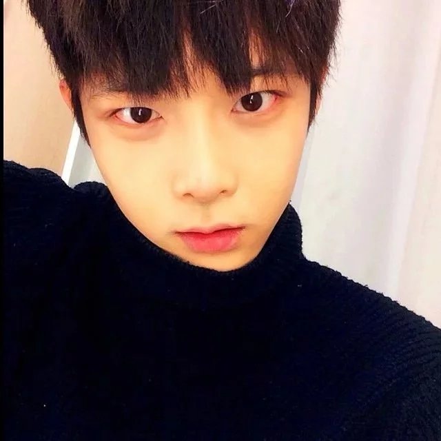 宗菲杰媚
